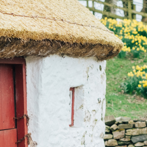Ulster American Folk Park - St Patrick's Day - 1920x1080