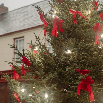 Christmas At Ulster American Folk Park