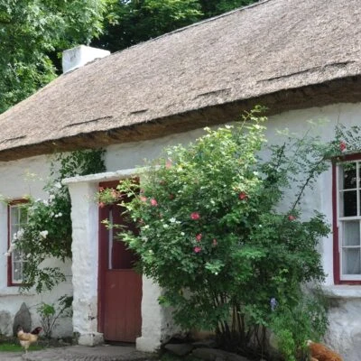 Tyrone Roots - Image 3