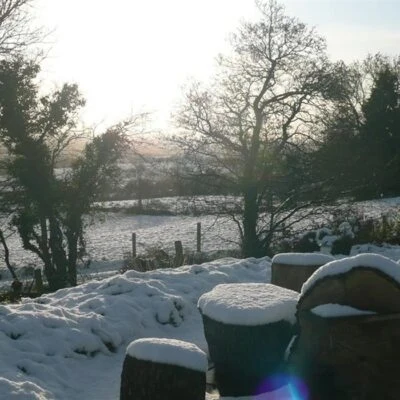 Golden Hill Guesthouse - Image 12