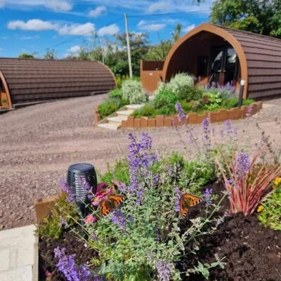 Gortin Glen Glamping - Image 2