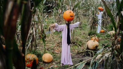 Hallowe’en at Ulster American Folk Park - Halloween at Ulster American Folk Park
