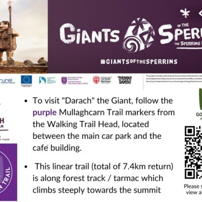 Darach – Giants of the Sperrins - Image 5