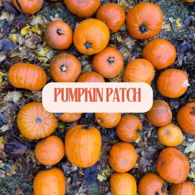 The Halloween Gathering - An Creagan