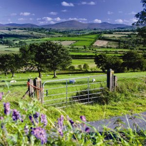 Sperrin Mountain