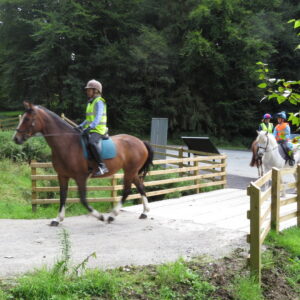 horse trails- Gortin