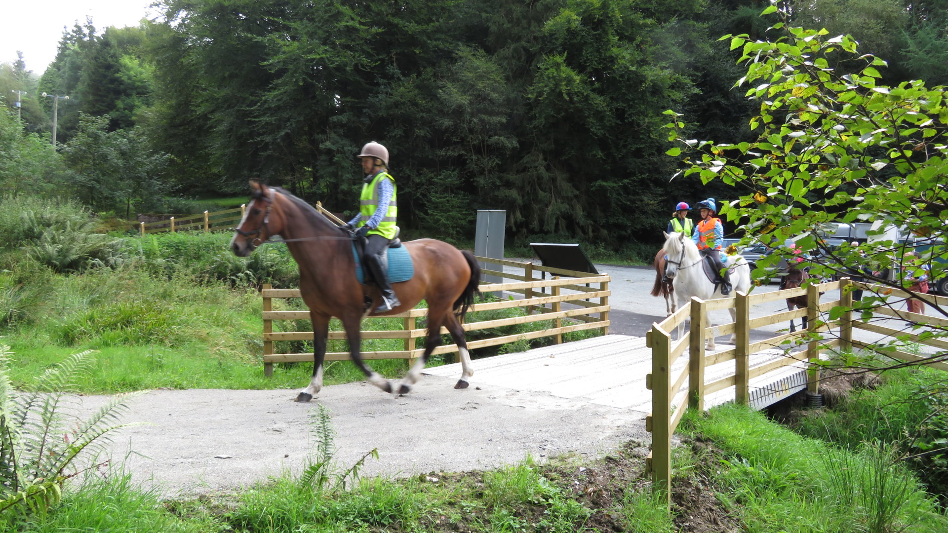 horse trails- Gortin