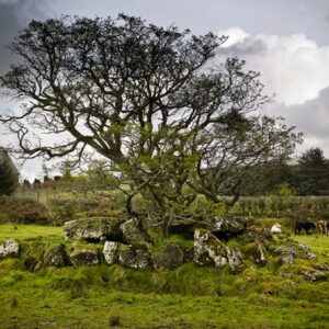 Loughmacrory Wedge Tomb