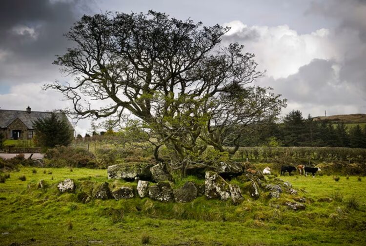 Loughmacrory Wedge Tomb