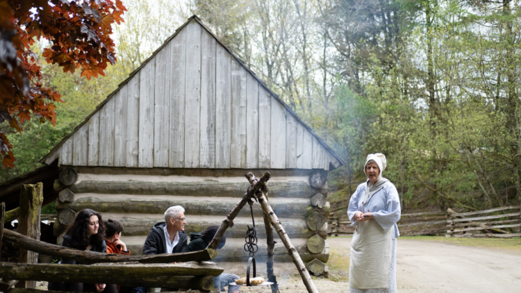 Ulster American Folk Park 